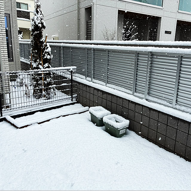 saekoさんの実例写真