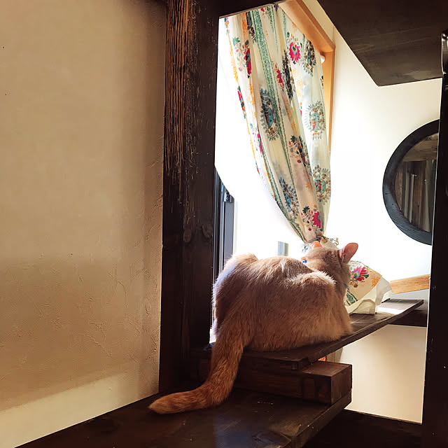 mikan161さんの実例写真