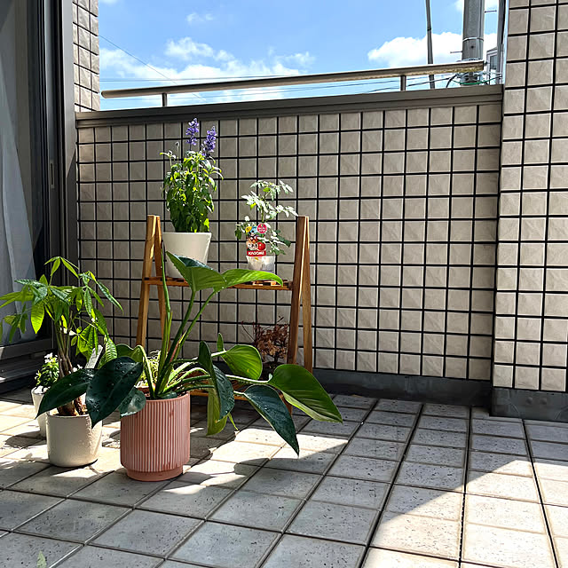 tsukiminoさんの実例写真