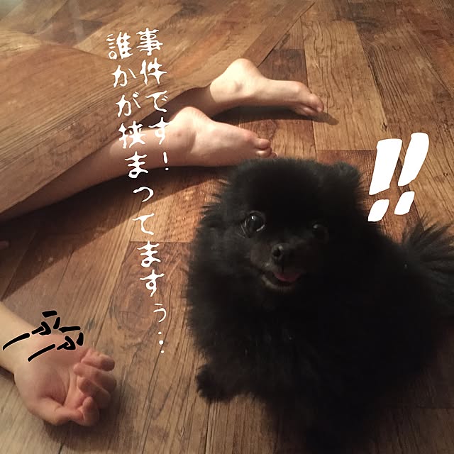 ohanaさんの実例写真