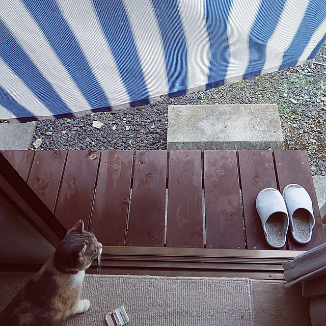 fukuさんの実例写真