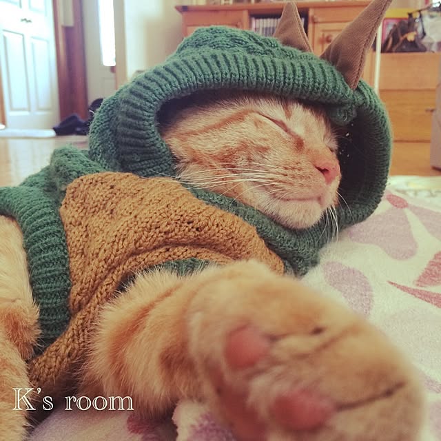 klaroomさんの実例写真