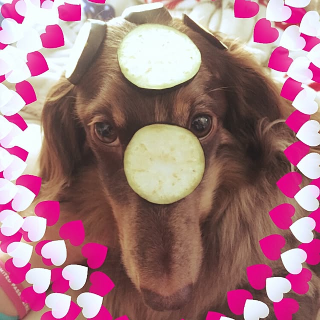 miyonさんの実例写真
