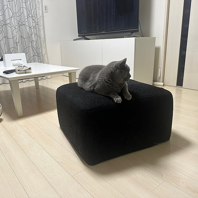 棚のインテリア実例 - 2023-05-01 21:53:22