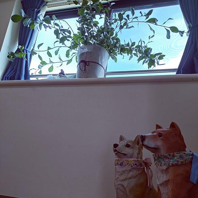 NOAHさんの実例写真