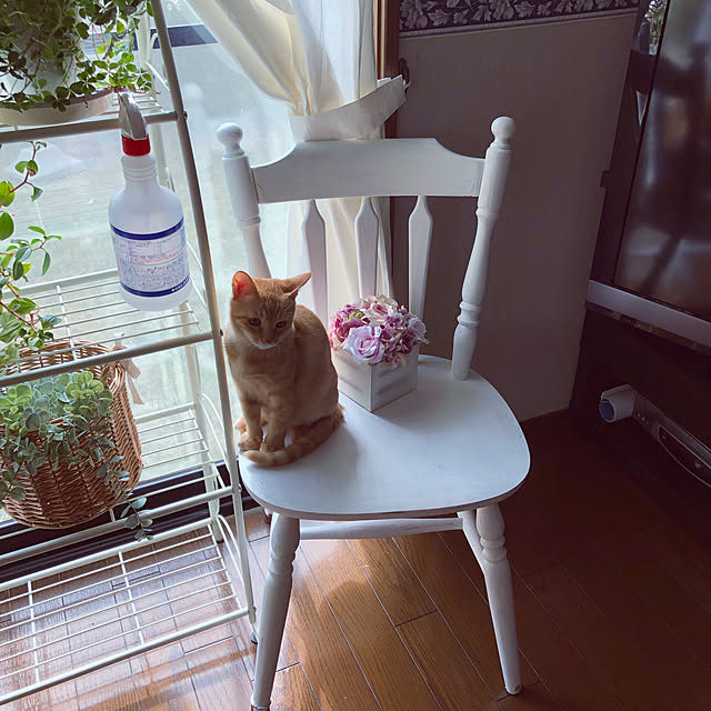 himetanさんの実例写真