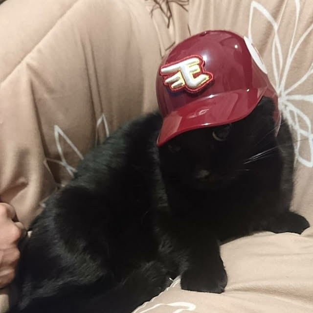 TERUMANさんの実例写真