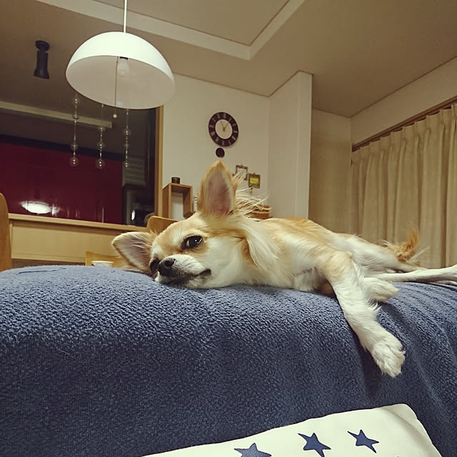 nattimomoさんの実例写真