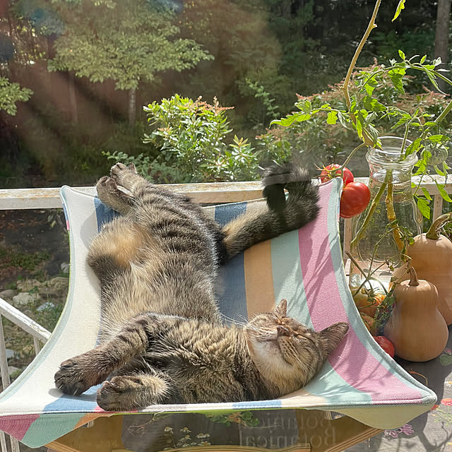 weさんの部屋