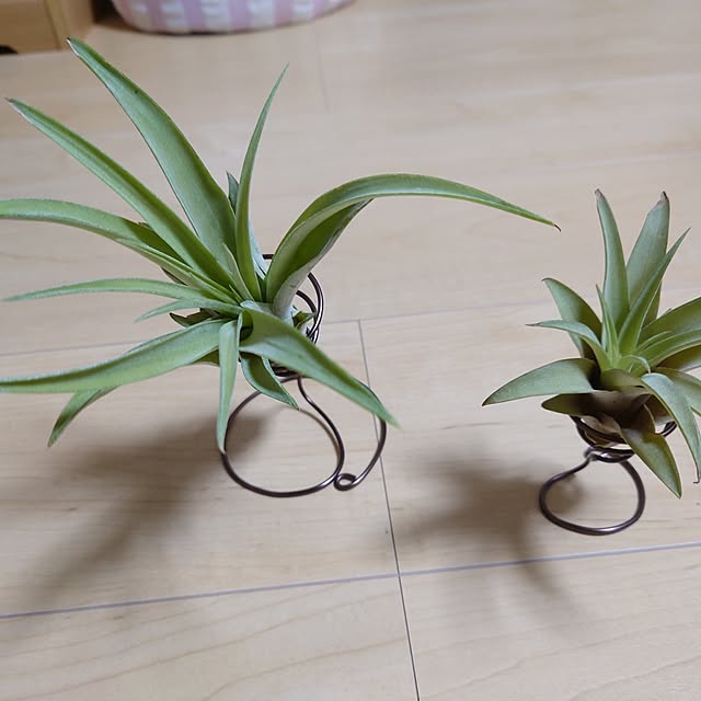 takabooさんの実例写真