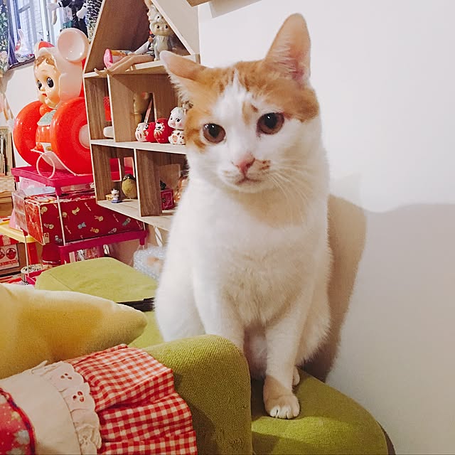 Karenさんの実例写真