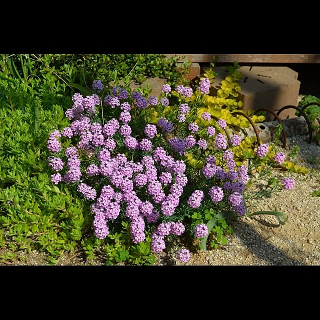 GreenWorksさんの実例写真