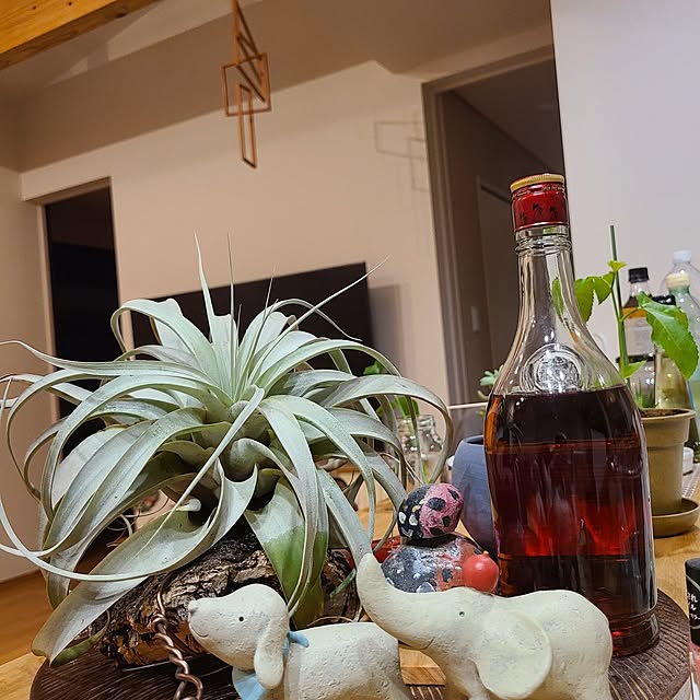 Rubiconさんの実例写真