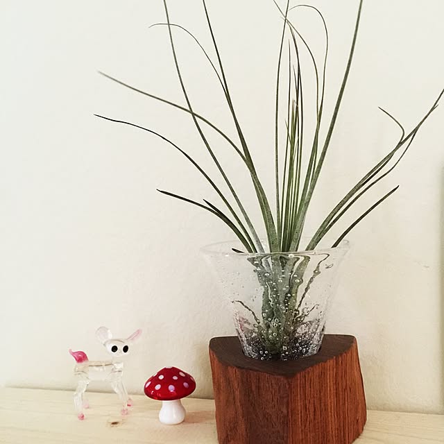 cherryさんの実例写真