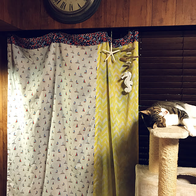 noikoさんの実例写真