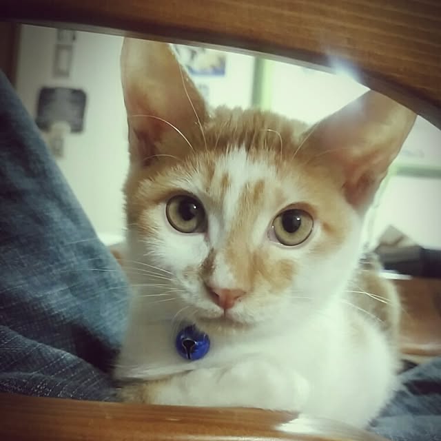 TUNさんの実例写真