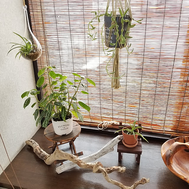 midoriさんの実例写真