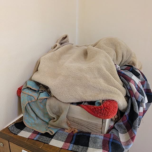 asaさんの実例写真