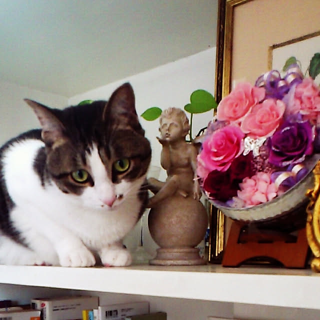 kimiさんの実例写真