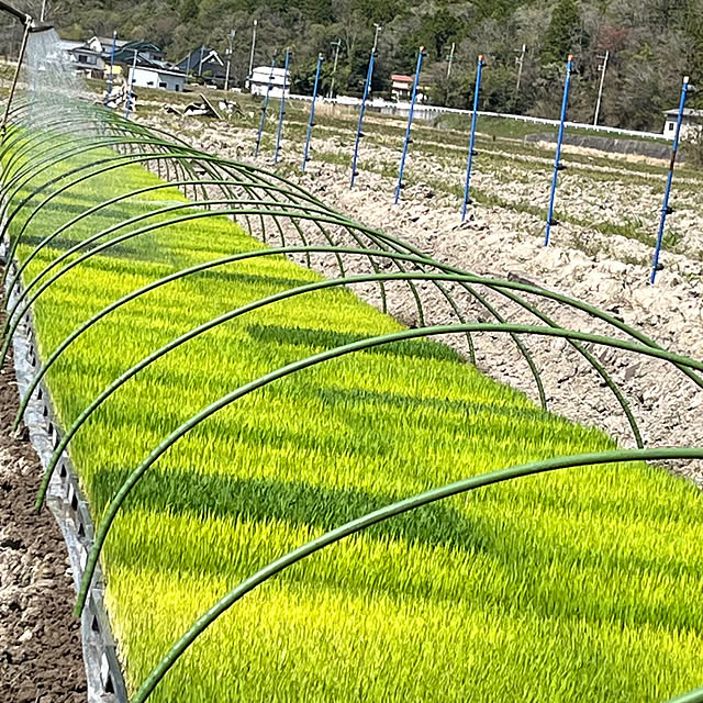 cota2さんの部屋
