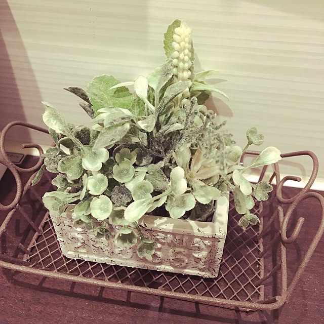 lunamamajunkoさんの実例写真