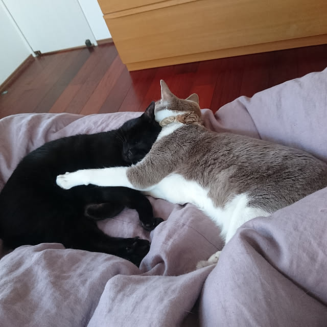 taakoさんの実例写真