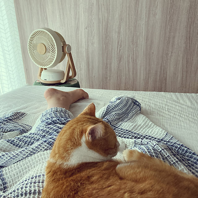 73さんの実例写真