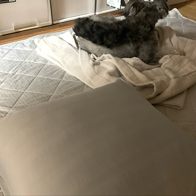 Mahoさんの実例写真