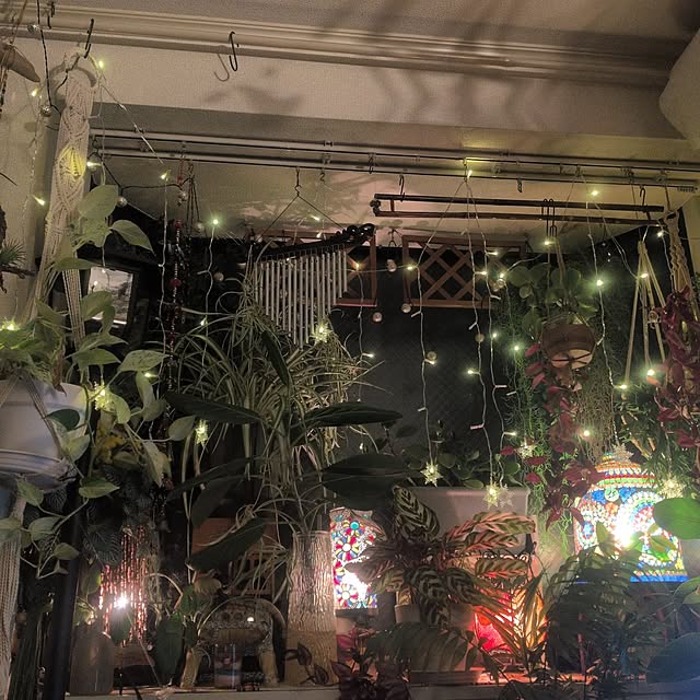 Michikoさんの実例写真