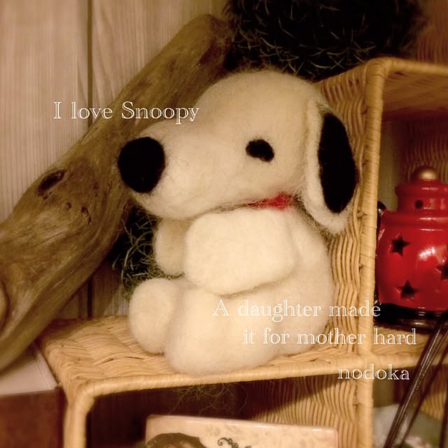 nodokaさんの実例写真