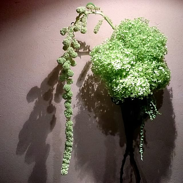 Gravityさんの実例写真