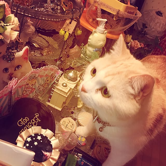Watanabejunpilさんの実例写真