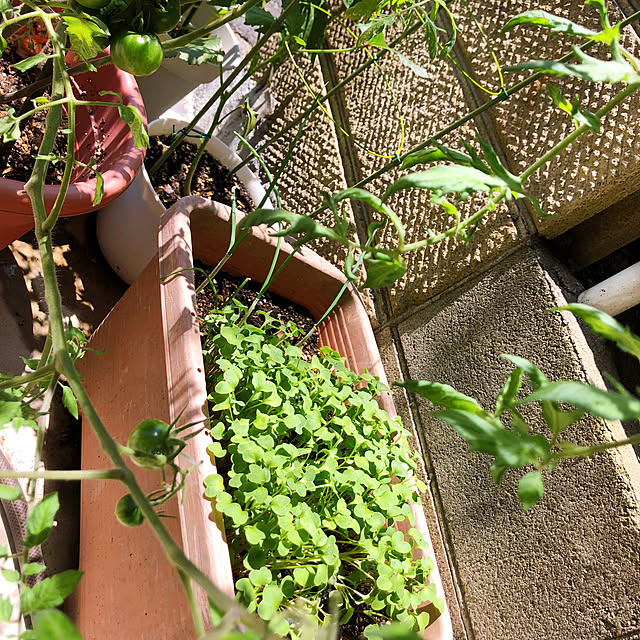 chacoさんの部屋