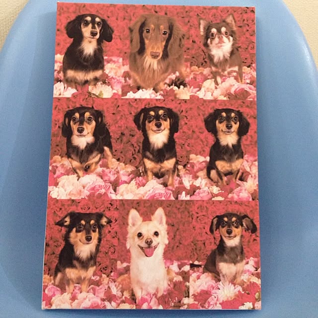 実例写真