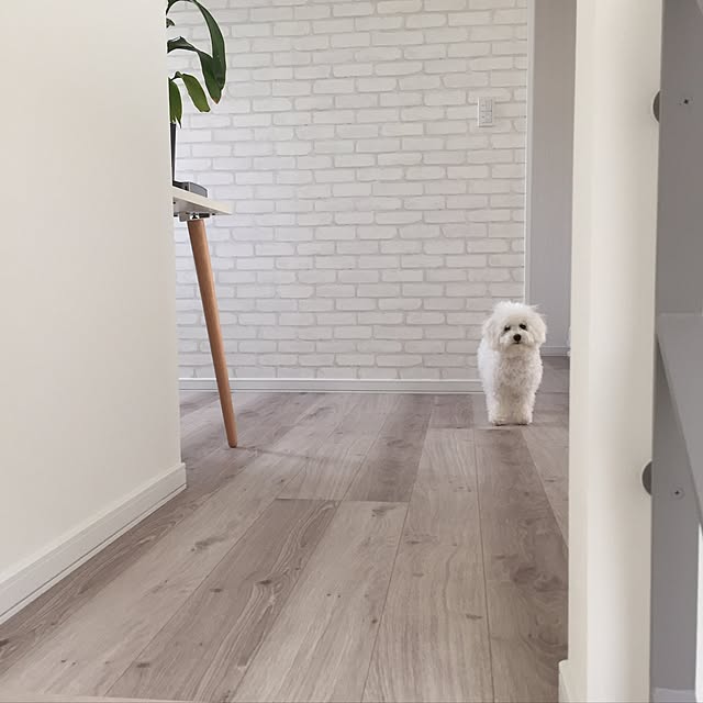 unichanさんの実例写真