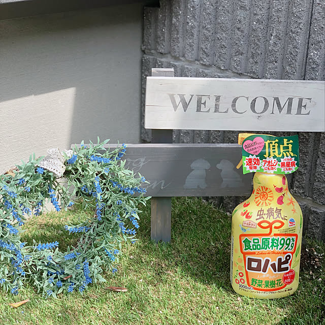 n_homeさんの実例写真