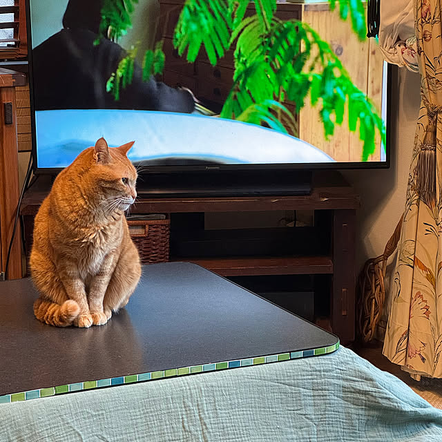 okyosan101さんの部屋