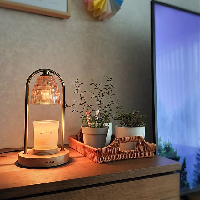 pecoさんの部屋