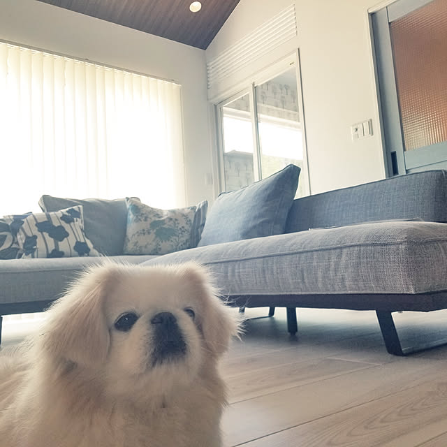 Arahimaさんの実例写真