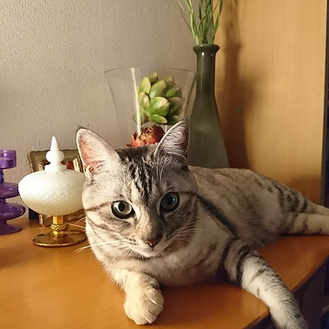 ranranさんの実例写真