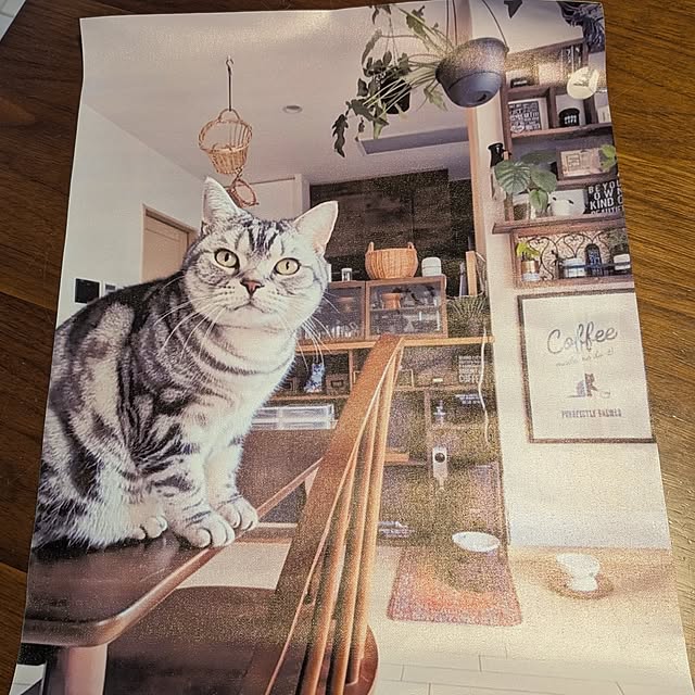 lovepeaceさんの部屋