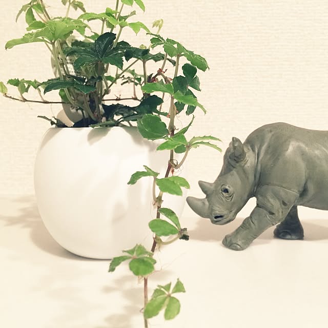 tamtamさんの実例写真