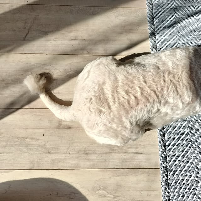 minmiさんの実例写真