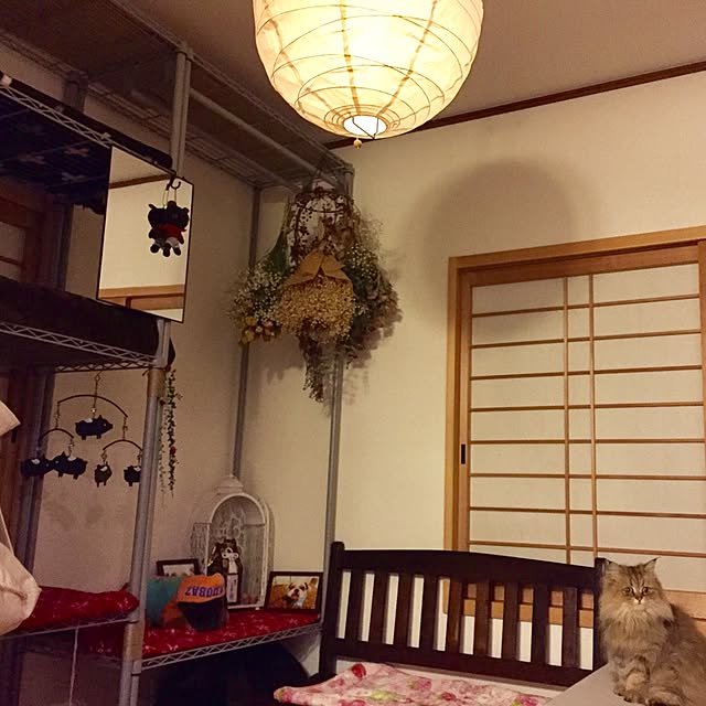 butachanさんの実例写真