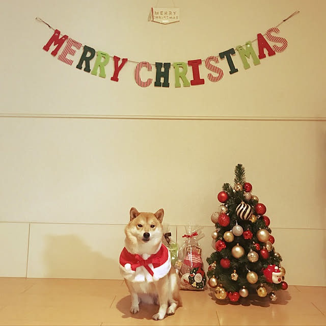 konaさんの実例写真