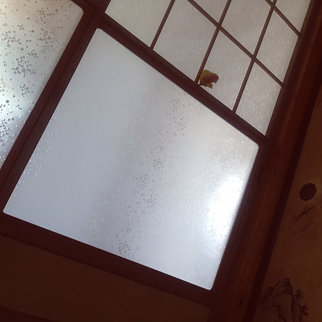 aoinokimiさんの実例写真