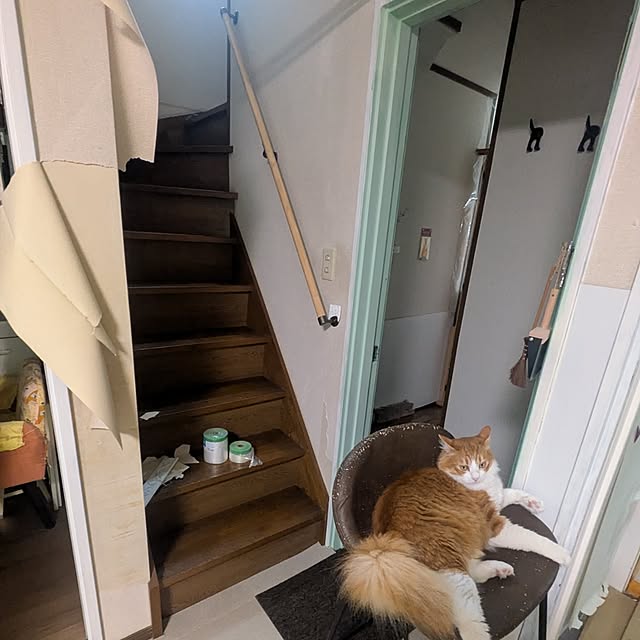 mori_6_12さんの実例写真