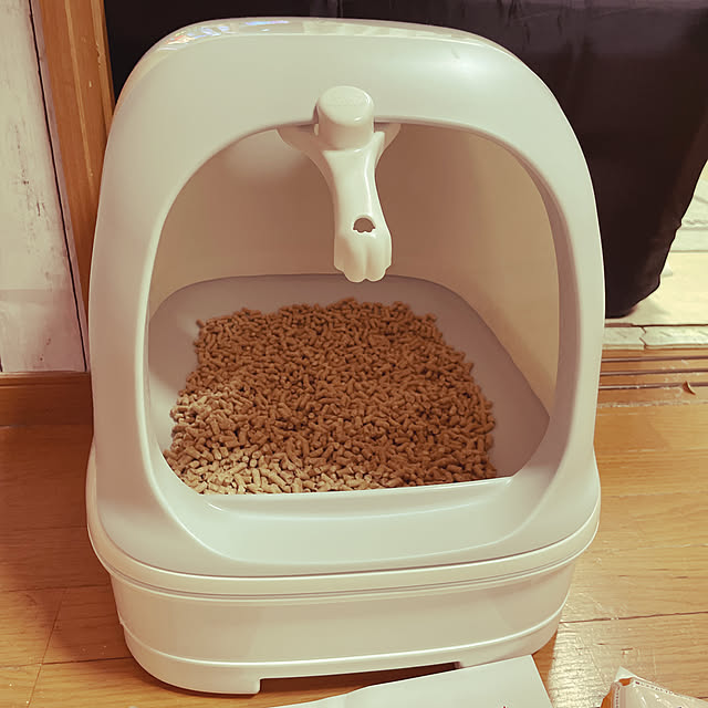 CATさんの実例写真