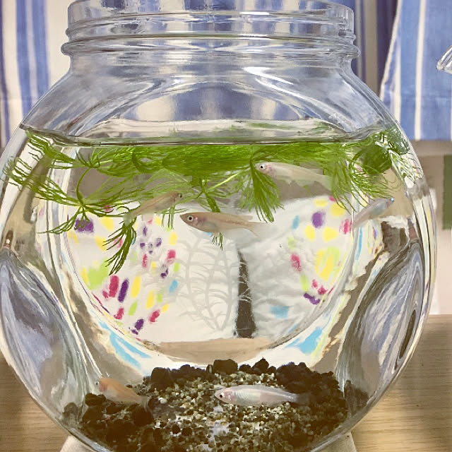 takakoさんの実例写真