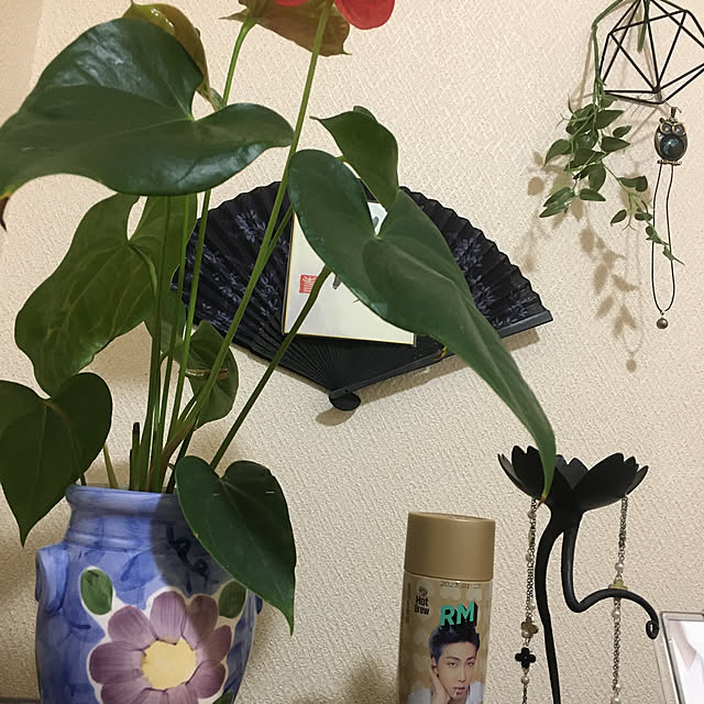 cotatuさんの実例写真
